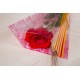 Rosa Vermella 50 cm - Des de 1.15€