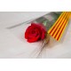 Rosa Vermella 70 cm - Des de 1.35€