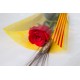 Rosa Vermella 70 cm - Des de 1.35€