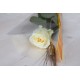 Rosa Blanca 60 cm - Des de 1.35€